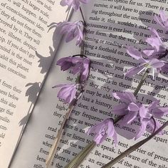 purple flowers are placed on top of an open book