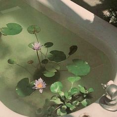 a bathtub filled with water lilies and green leaves