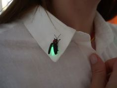 Weird Necklaces, Big Dipper, Glow In Dark, Insect Jewelry, Cool Pins, Funky Jewelry, Cute Pins, Pretty Jewellery, Firefly