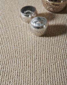 two silver bowls sitting on top of a carpeted floor next to a potted plant