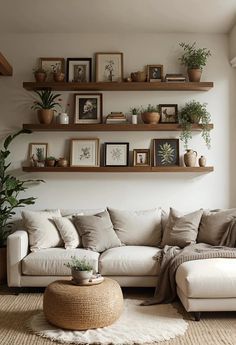 a living room filled with furniture and lots of plants on top of the shelves above