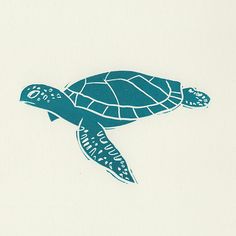 a drawing of a sea turtle in teal on a white background with blue ink