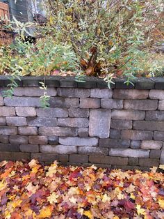 leaves on the ground next to a brick wall and shrubbery in front of it