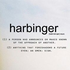 the words habringer are written in black on a white background with an airplane flying overhead