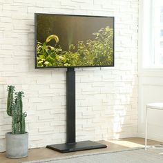 a flat screen tv mounted to the side of a wall next to a potted plant