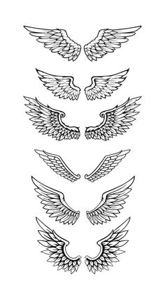 the different types of wings are shown in black and white