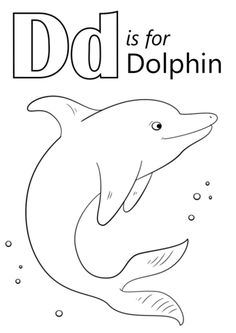 the letter d is for dolphin coloring page