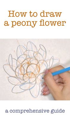 the cover of how to draw a peony flower, with a hand holding a pencil