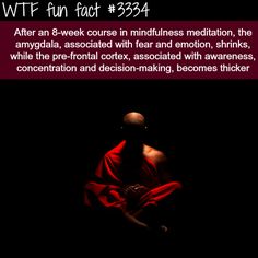 Benefits Of Meditation, Yoga Mantras, Science Facts, The More You Know, Mindfulness Meditation, Fun Fact, Things To Know, Funny Facts, Mind Blown