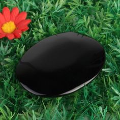 a red flower sitting next to a black object in the middle of some green grass