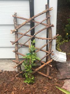 a wooden trellis next to a white door