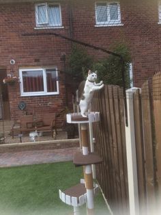 a white cat sitting on top of a bird feeder in front of a brick house