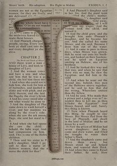 an old book page with the letter t on it