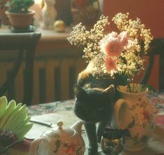 a black cat sitting on top of a table next to vases filled with flowers