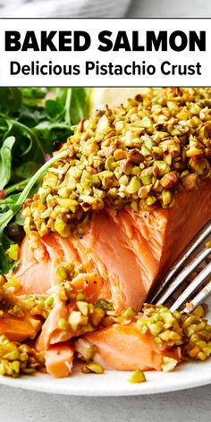 Pistachio crusted baked salmon Pistachio Salmon, Honey Pistachio, Pistachio Crusted Salmon, Creamy Salmon, Baked Salmon Recipe, Cook Salmon, Best Salmon