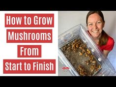 a woman holding up a tray with mushrooms in it and the words how to grow mushrooms from start to finish