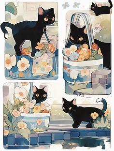 the black cat is standing next to some flowers in a flower pot and looking at it's reflection