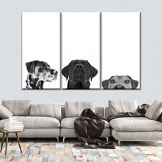 three black and white dogs sitting on top of a couch in front of a wall