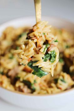 a spoon full of pasta with spinach and meat