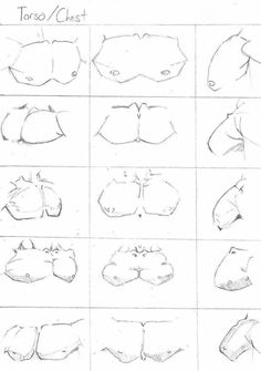 the different types of nose shapes and how they are used to make them look like mouths