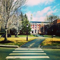 an empty street in front of a large building