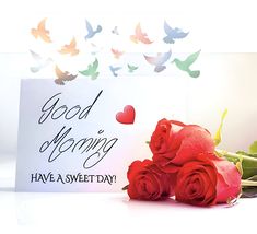 two roses are sitting next to a card with the words good morning have a sweet day