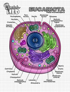 the structure of an animal's cell is shown in this diagram, with labels on it