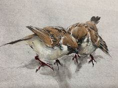 two brown and white birds sitting on top of each other