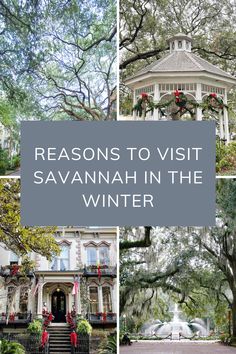 Reasons to Visit Savannah in the Winter Savannah In December, Winter In Savannah Ga, Savannah Georgia Christmas Time, Savannah Georgia In January, Savannah Georgia In December, Savannah Georgia Christmas, Savannah Outfits Winter