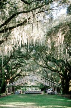 an outdoor wedding venue under the trees covered in spanish moss and draped with chandeliers