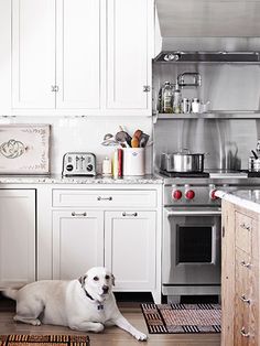 a dog laying on the kitchen floor in front of an oven and stove with lots of cooking utensils