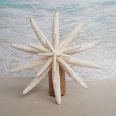 a white starfish sculpture sitting on top of a sandy beach