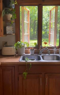 a kitchen sink sitting under a window next to a counter top with plants on it