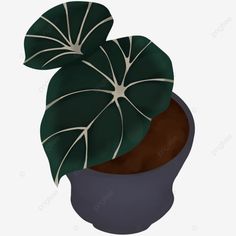 a potted plant with green leaves on it's side, illustration, cartoon png and psd