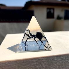 a spider sitting on top of a piece of glass in the shape of a triangle