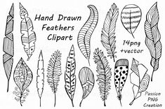 hand drawn feathers clipart set