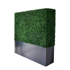 a boxwood hedge is placed on top of a metal planter to create a privacy wall