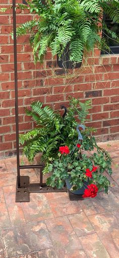 there is a potted plant with red flowers on the ground next to a brick wall