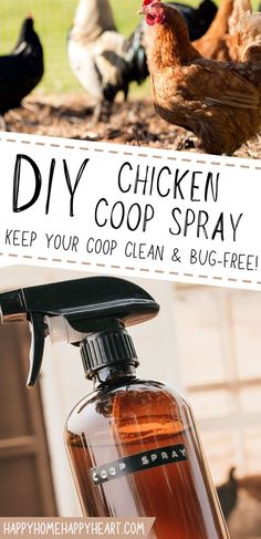 chicken coop spray bottle with chickens in the background text reads diy chicken coop spray keep your coop clean and bug - free