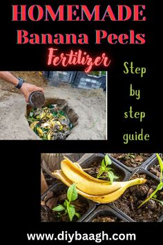 a banana peel is being used as a fertitor to plant bananas in the garden