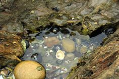 an image of rocks and pebbles in the water