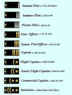 the different types of flags are shown in this graphic style, and each has an arrow on