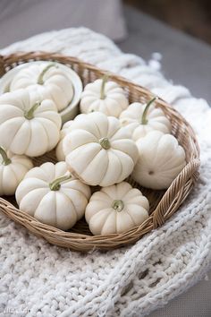 small white pumpkins in a wicker basket on a knitted tablecloth, ready to be eaten