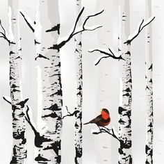 a red bird sitting on top of a tree next to white birch trees in the snow