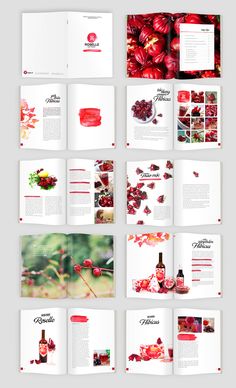 an open magazine with red flowers on the front and back pages, all in different colors