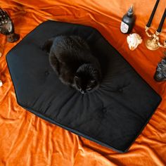 a black cat is laying on an orange blanket