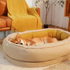 a dog is laying in his bed on the floor