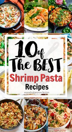 the top 10 best shrimp pasta recipes