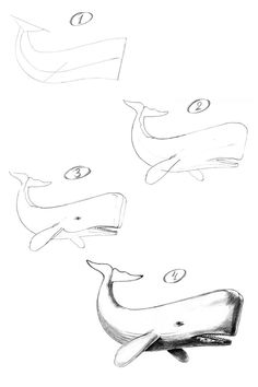 three drawings of whales swimming in the ocean