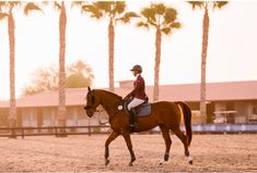 a woman riding on the back of a brown horse across a sandy field next to palm trees